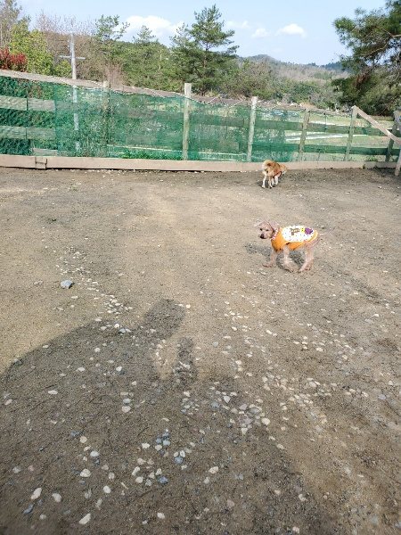 f:id:roukenhome-ann:20200404145007j:plain f:id:roukenhome-ann:20200404145007j:plain