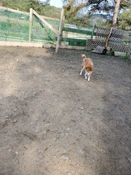 f:id:roukenhome-ann:20200404145036j:plain f:id:roukenhome-ann:20200404145036j:plain