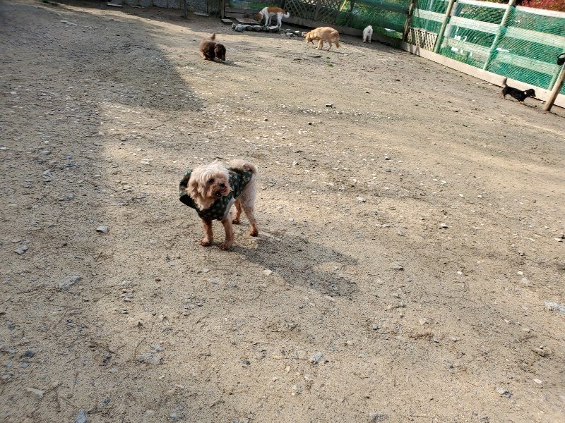 f:id:roukenhome-ann:20200404145153j:plain f:id:roukenhome-ann:20200404145153j:plain