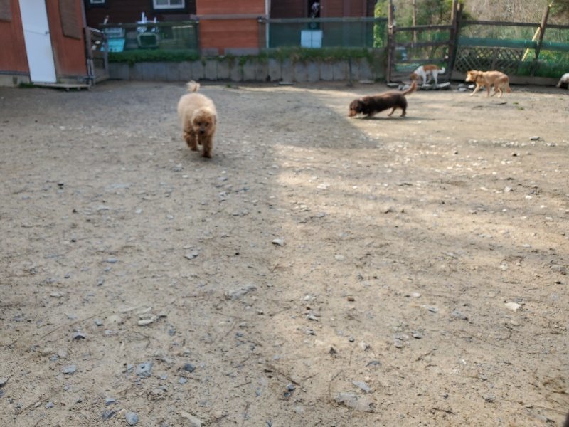 f:id:roukenhome-ann:20200404145232j:plain f:id:roukenhome-ann:20200404145232j:plain
