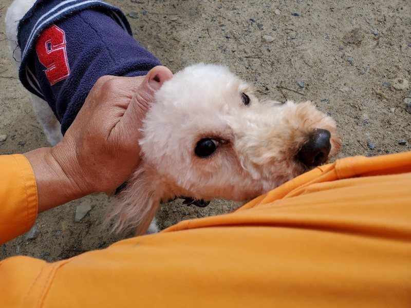 f:id:roukenhome-ann:20200404145322j:plain f:id:roukenhome-ann:20200404145322j:plain