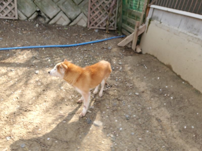 f:id:roukenhome-ann:20200404145403j:plain f:id:roukenhome-ann:20200404145403j:plain