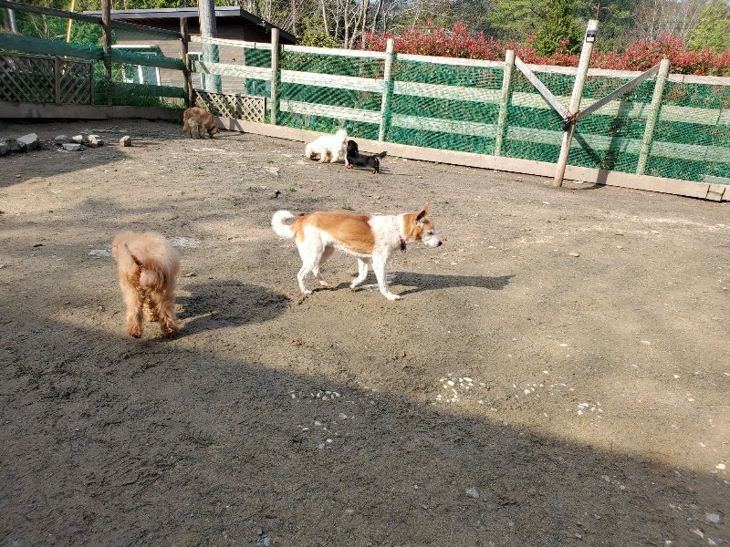 f:id:roukenhome-ann:20200404145504j:plain f:id:roukenhome-ann:20200404145504j:plain