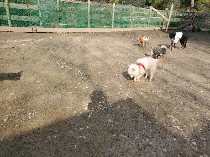 f:id:roukenhome-ann:20200404145511j:plain f:id:roukenhome-ann:20200404145511j:plain