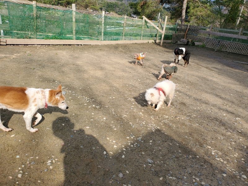f:id:roukenhome-ann:20200404145519j:plain f:id:roukenhome-ann:20200404145519j:plain