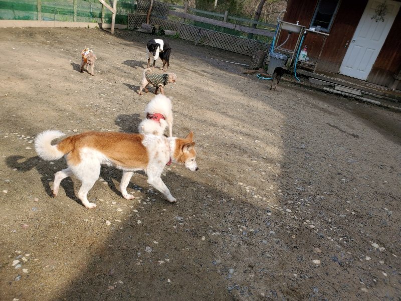 f:id:roukenhome-ann:20200404145528j:plain f:id:roukenhome-ann:20200404145528j:plain