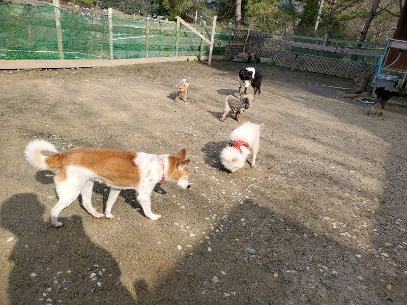 f:id:roukenhome-ann:20200404145534j:plain f:id:roukenhome-ann:20200404145534j:plain