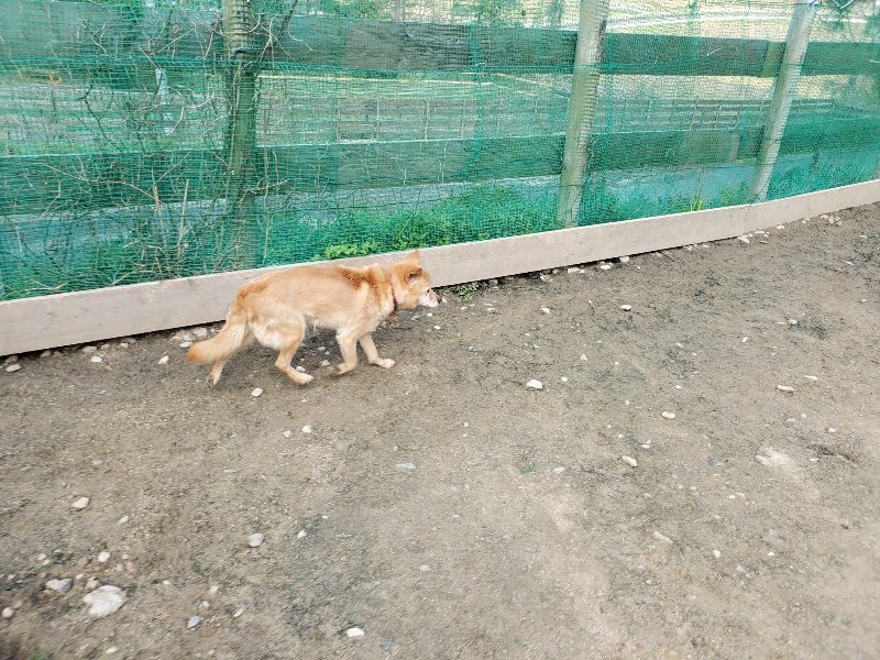 f:id:roukenhome-ann:20200404145722j:plain f:id:roukenhome-ann:20200404145722j:plain