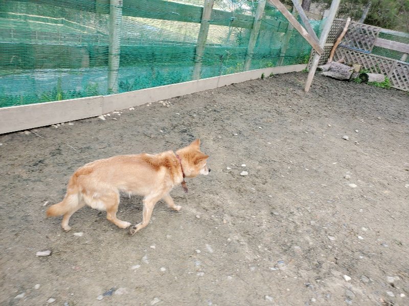 f:id:roukenhome-ann:20200404145759j:plain f:id:roukenhome-ann:20200404145759j:plain
