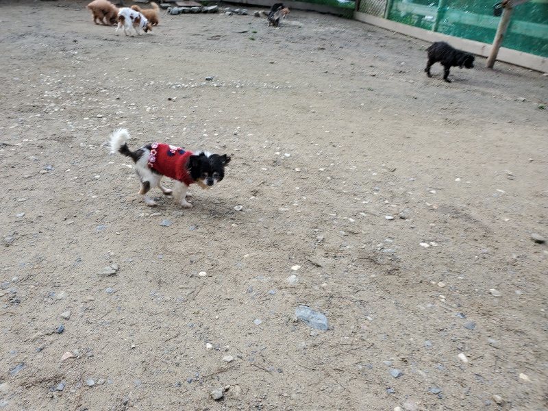 f:id:roukenhome-ann:20200404145822j:plain f:id:roukenhome-ann:20200404145822j:plain