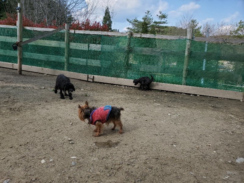 f:id:roukenhome-ann:20200404145901j:plain f:id:roukenhome-ann:20200404145901j:plain