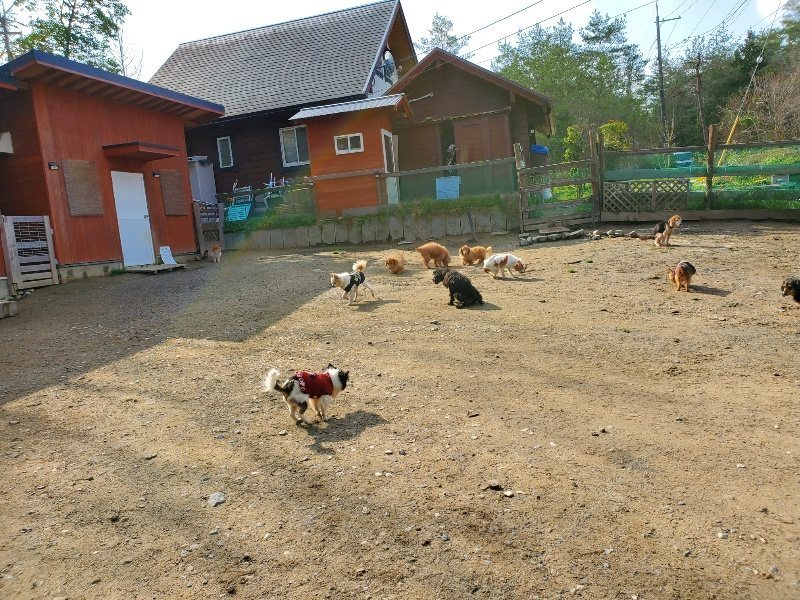 f:id:roukenhome-ann:20200404150200j:plain f:id:roukenhome-ann:20200404150200j:plain
