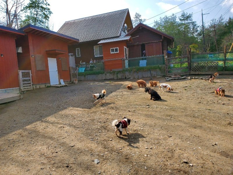 f:id:roukenhome-ann:20200404150207j:plain f:id:roukenhome-ann:20200404150207j:plain