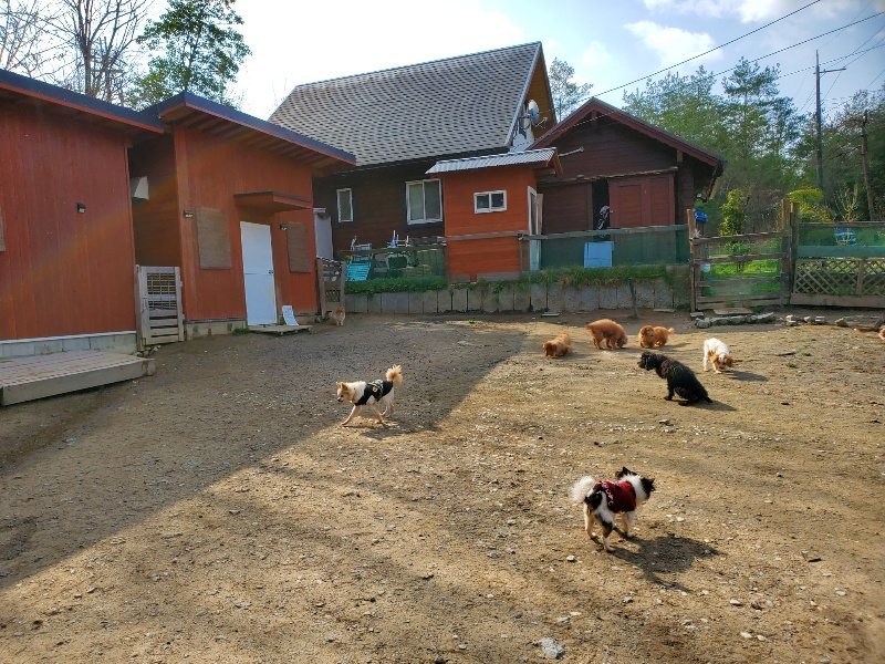 f:id:roukenhome-ann:20200404150213j:plain f:id:roukenhome-ann:20200404150213j:plain