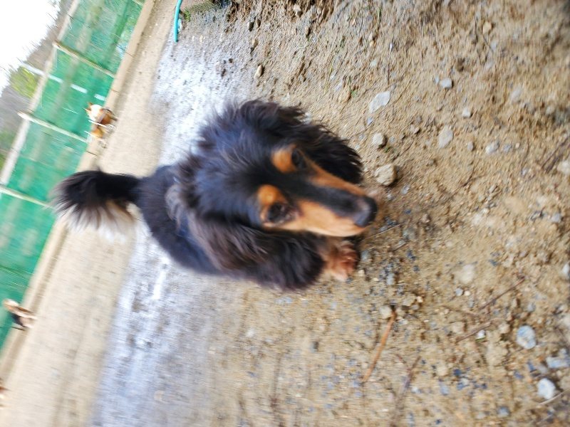 f:id:roukenhome-ann:20200404150421j:plain f:id:roukenhome-ann:20200404150421j:plain
