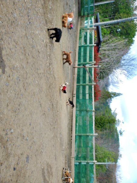 f:id:roukenhome-ann:20200404150445j:plain f:id:roukenhome-ann:20200404150445j:plain