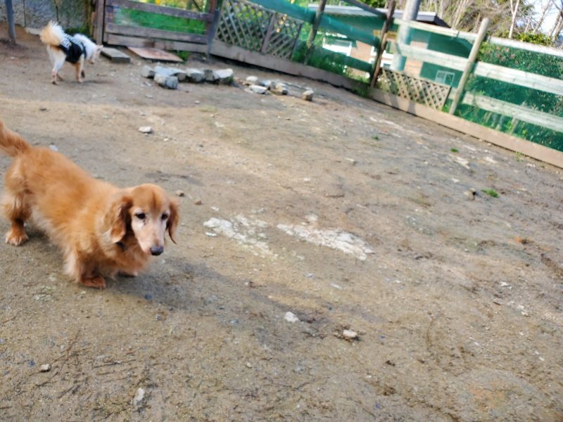 f:id:roukenhome-ann:20200404150455j:plain f:id:roukenhome-ann:20200404150455j:plain