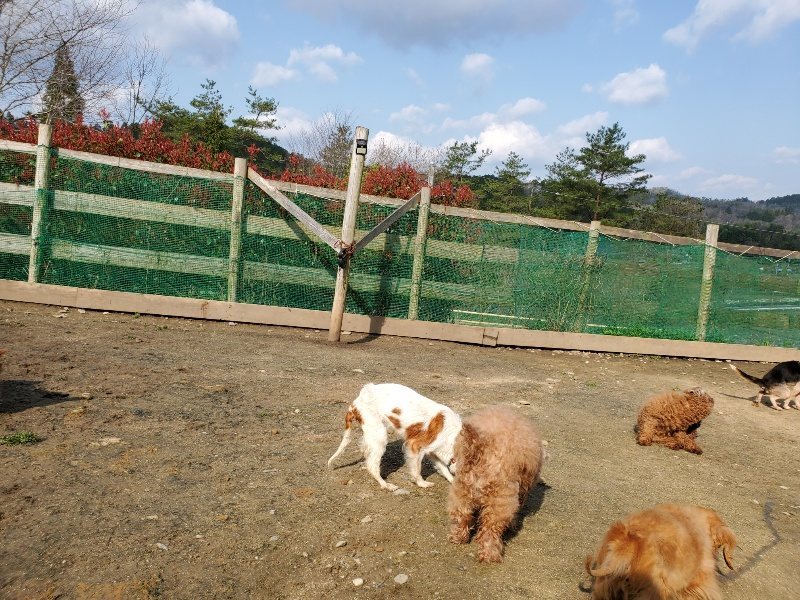 f:id:roukenhome-ann:20200404150525j:plain f:id:roukenhome-ann:20200404150525j:plain