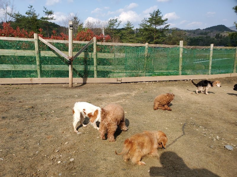 f:id:roukenhome-ann:20200404150539j:plain f:id:roukenhome-ann:20200404150539j:plain