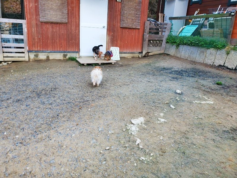 f:id:roukenhome-ann:20200404174632j:plain f:id:roukenhome-ann:20200404174632j:plain