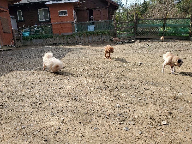f:id:roukenhome-ann:20200404175220j:plain f:id:roukenhome-ann:20200404175220j:plain