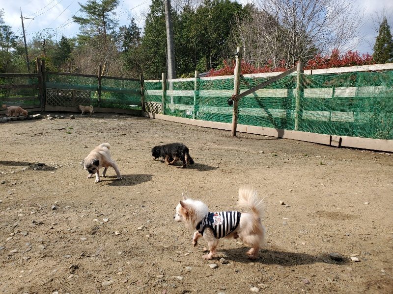 f:id:roukenhome-ann:20200404175302j:plain f:id:roukenhome-ann:20200404175302j:plain