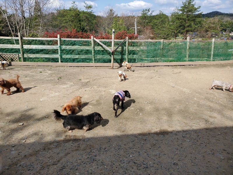 f：id：roukenhome-ann：20200406125201j：plain