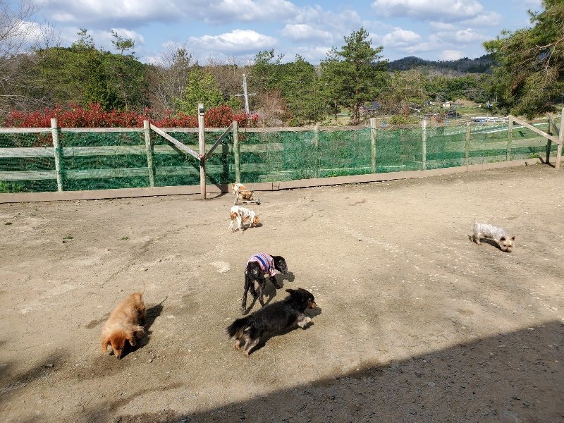 f：id：roukenhome-ann：20200406125208j：plain