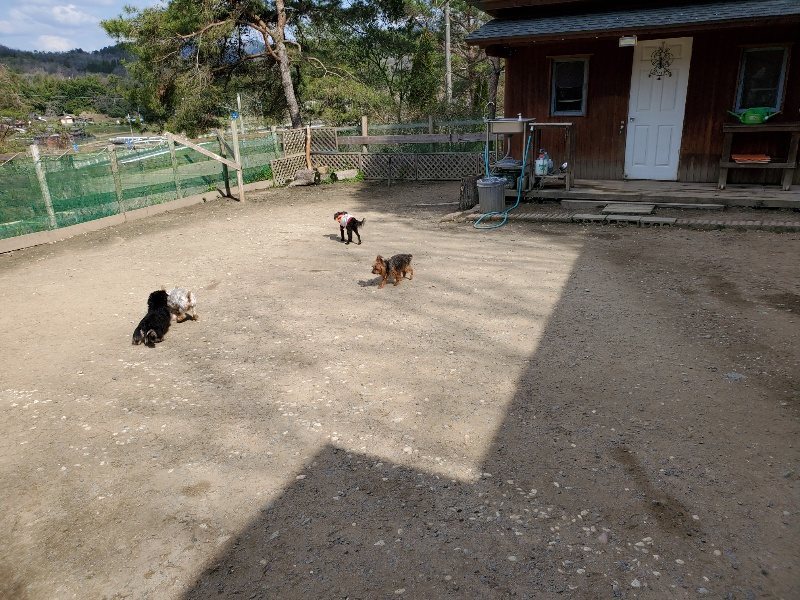 f：id：roukenhome-ann：20200406125213j：プレーン