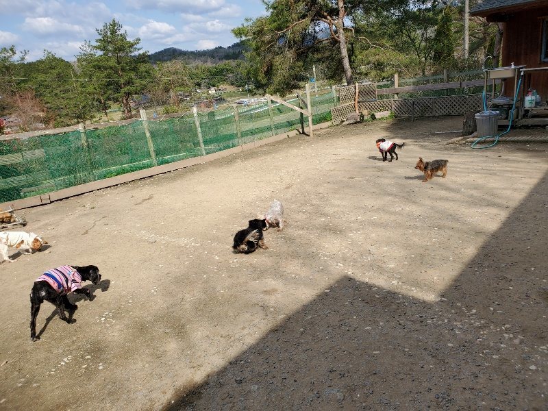 f：id：roukenhome-ann：20200406125219j：プレーン