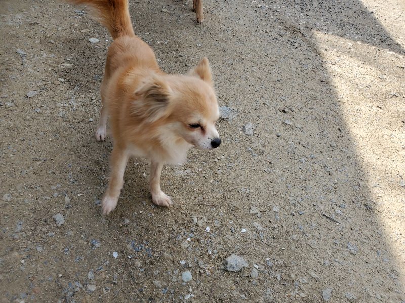 f：id：roukenhome-ann：20200406125313j：プレーン