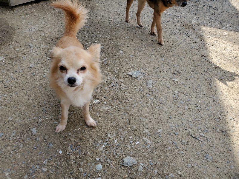 f：id：roukenhome-ann：20200406125319j：plain