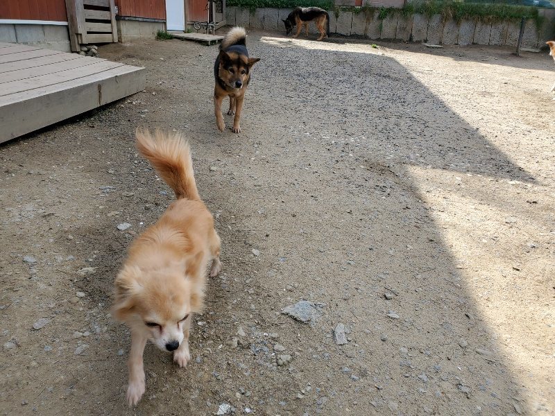 f：id：roukenhome-ann：20200406125325j：plain