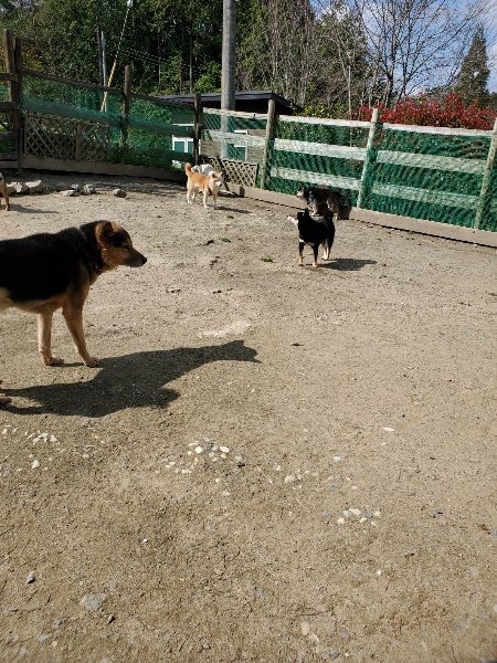 f：id：roukenhome-ann：20200406125547j：plain