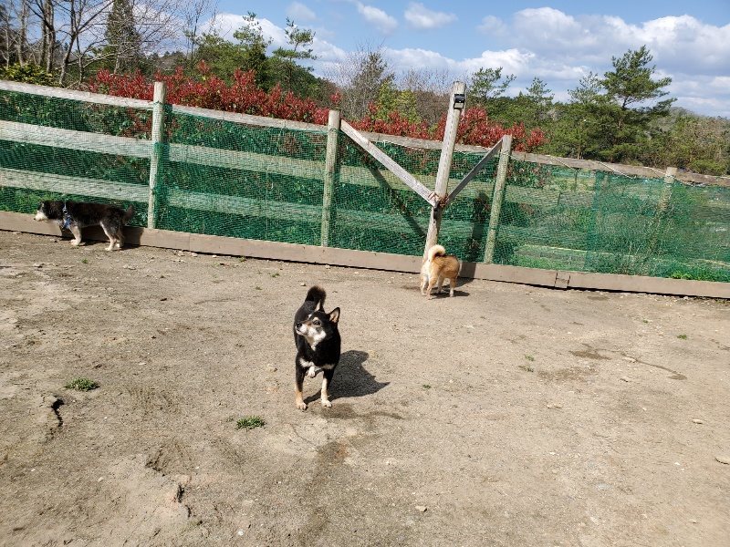 f：id：roukenhome-ann：20200406125617j：plain