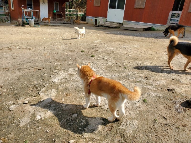 f：id：roukenhome-ann：20200406130004j：plain