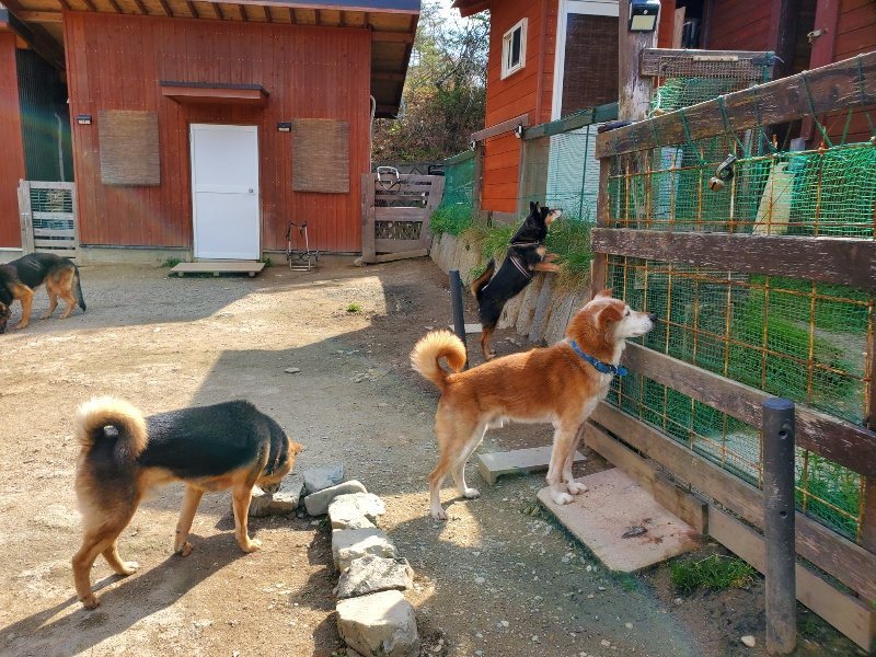 f：id：roukenhome-ann：20200406130020j：plain