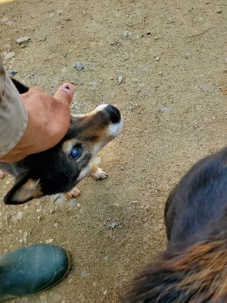 f：id：roukenhome-ann：20200406130142j：plain