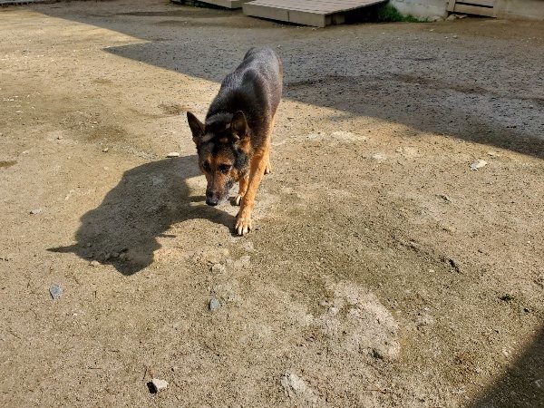 f：id：roukenhome-ann：20200406130153j：plain