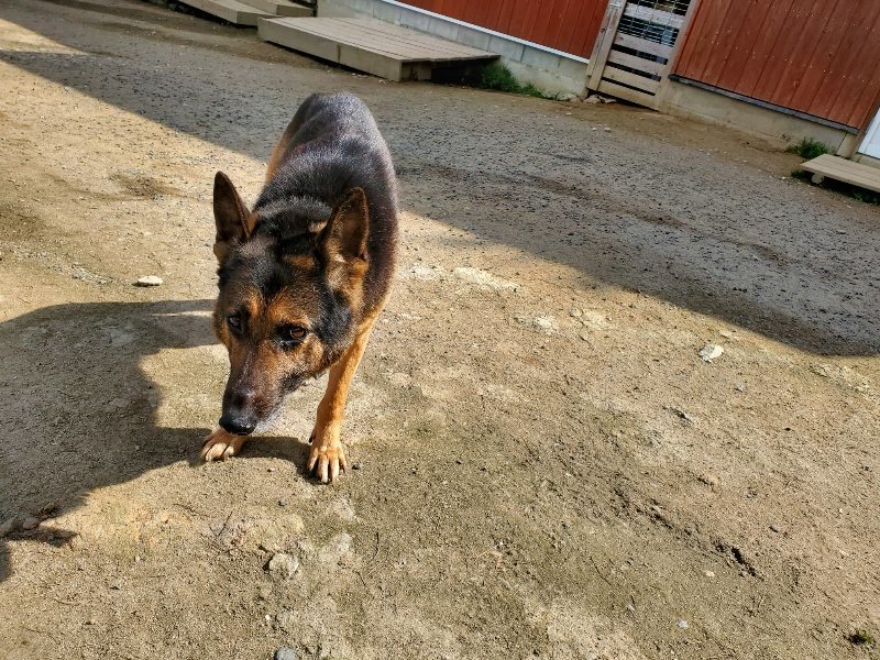 f：id：roukenhome-ann：20200406130204j：plain