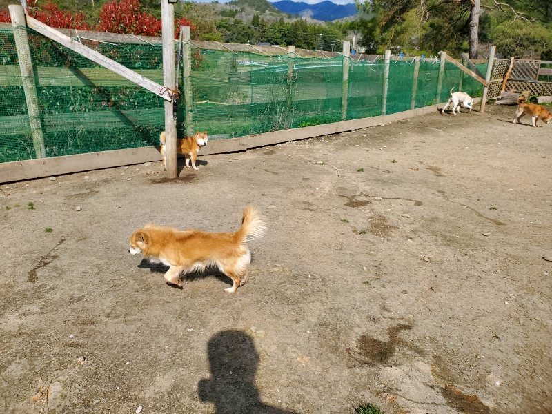 f：id：roukenhome-ann：20200406130229j：plain