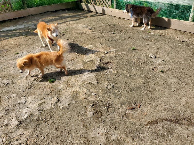 f：id：roukenhome-ann：20200406130255j：plain