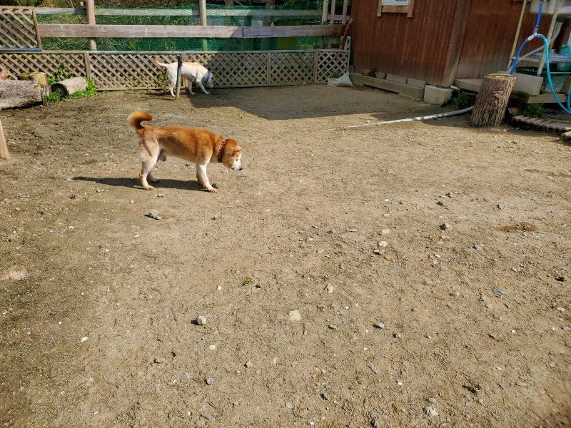 f：id：roukenhome-ann：20200406130329j：plain