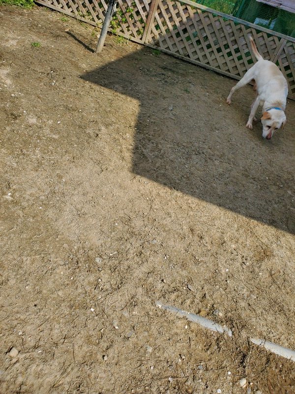 f：id：roukenhome-ann：20200406130356j：plain