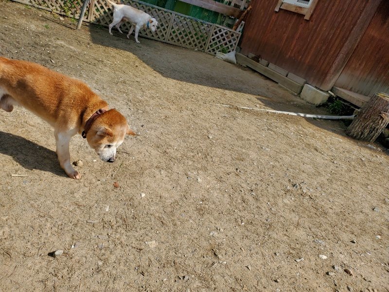 f：id：roukenhome-ann：20200406130401j：plain