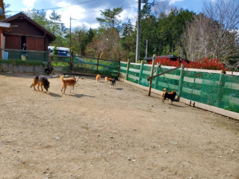 f：id：roukenhome-ann：20200406130433j：plain