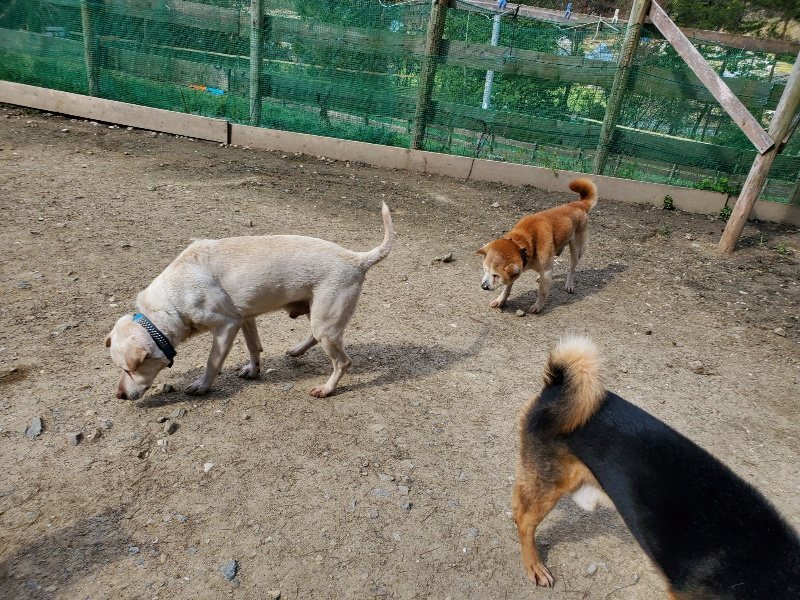 f：id：roukenhome-ann：20200406130451j：plain