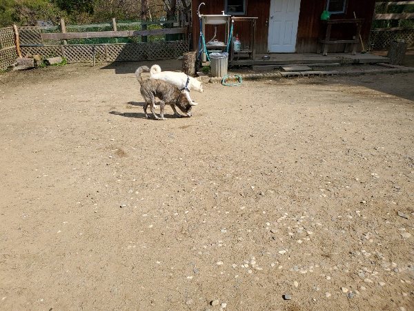 f：id：roukenhome-ann：20200406130501j：plain