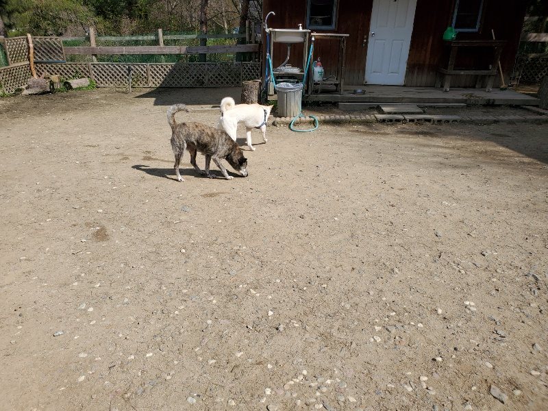 f：id：roukenhome-ann：20200406130508j：plain