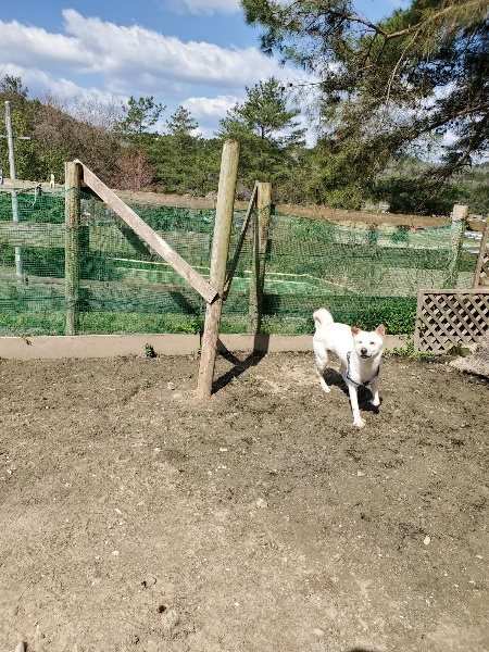 f：id：roukenhome-ann：20200406130550j：plain